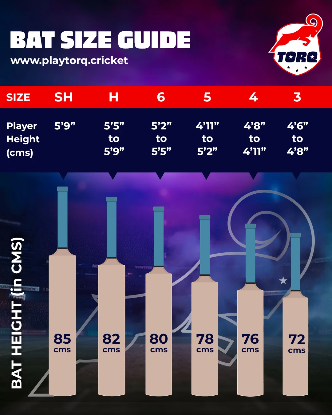 Torq | Drive Series | Intermediate Edition | English Willow | 3* | Cricket Bat - Image 7